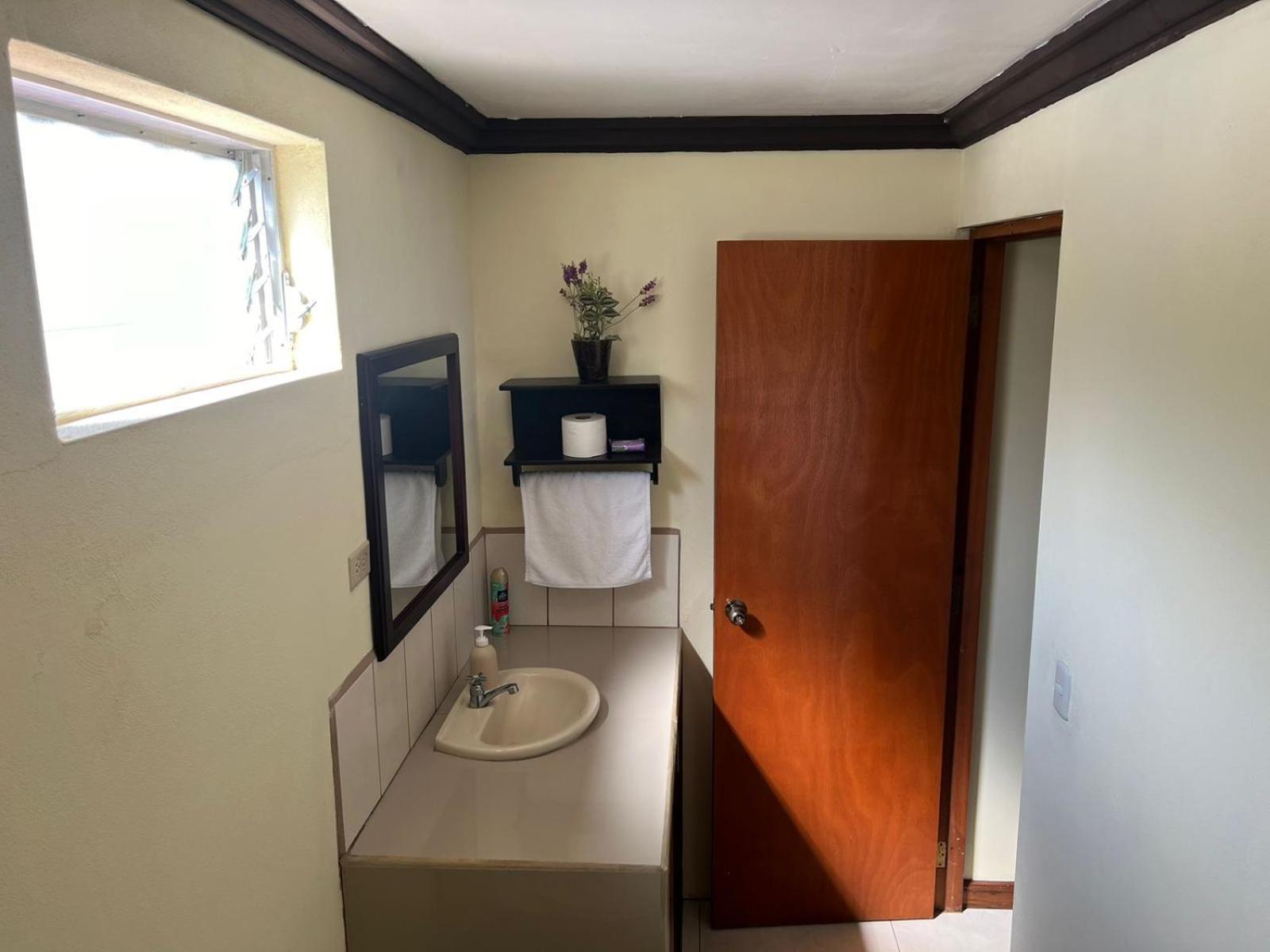 Open House Apartment